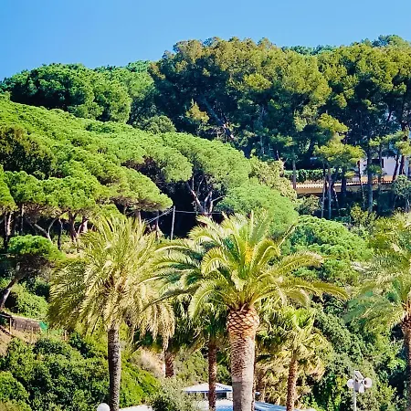 Modern And Design Studio Near The With Large Swimming Pools Lloret de Mar